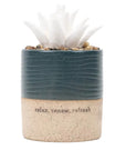 Succulent Aromatherapy Diffuser