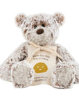 "You've Got This" Mini Giving Bear