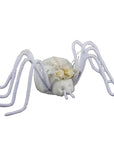 PBK Home Decor