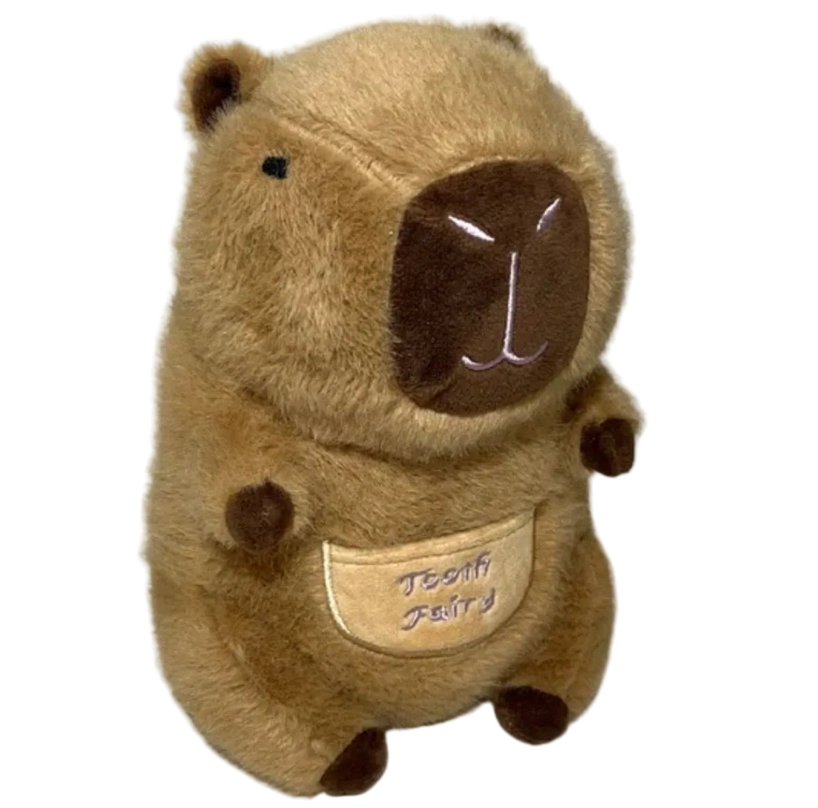 Barry the Capybara Tooth Fairy