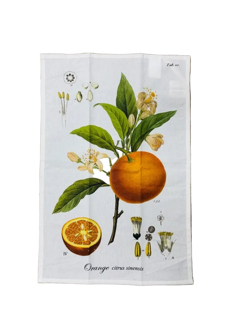 Orange Citrus Sinensis Tea Towel