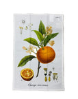 Orange Citrus Sinensis Tea Towel