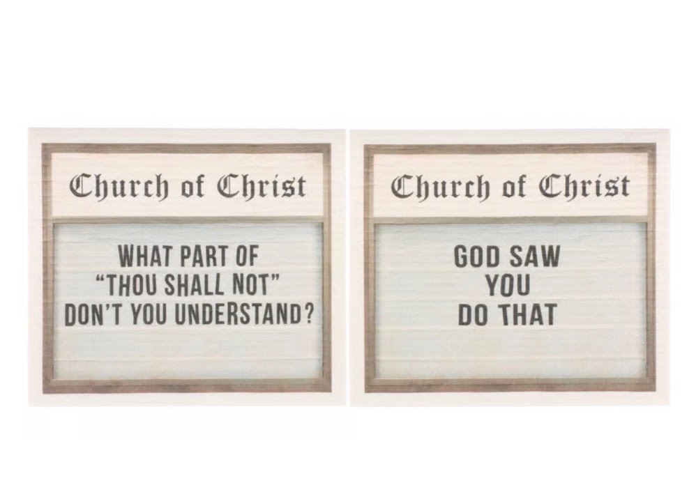 God Saw That Swedish Dishcloth Duo