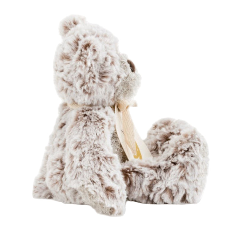 "You've Got This" Mini Giving Bear