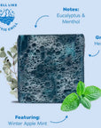 Dr. Squatch Polar Rush Bar Soap