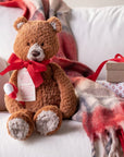 Theodore the Christmas Bear