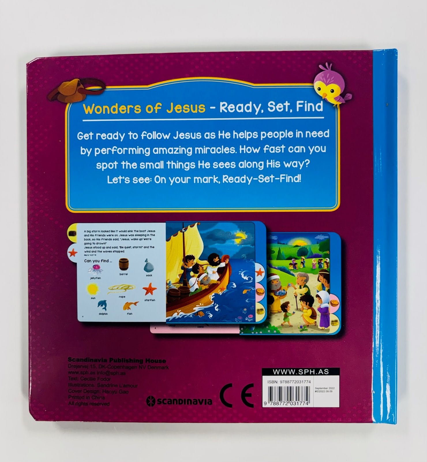 Ready Set Find Wonders of Jesus