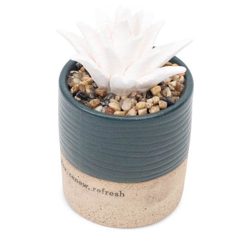 Succulent Aromatherapy Diffuser