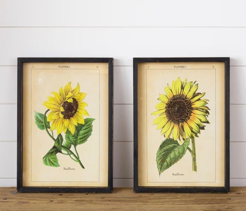 Framed Sunflower Prints