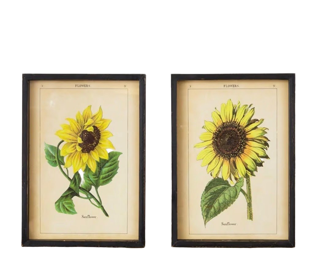 Framed Sunflower Prints