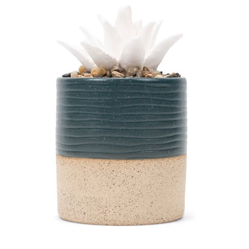 Succulent Aromatherapy Diffuser