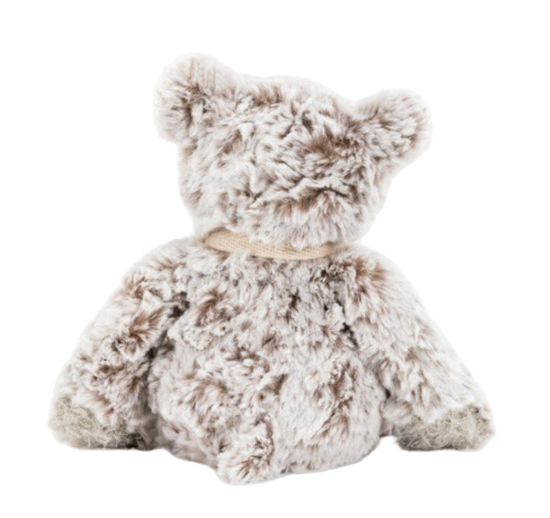"You've Got This" Mini Giving Bear