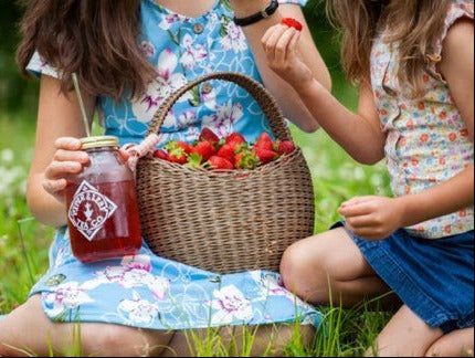 Piper &amp; Leaf Tea Co. Strawberry Shindig