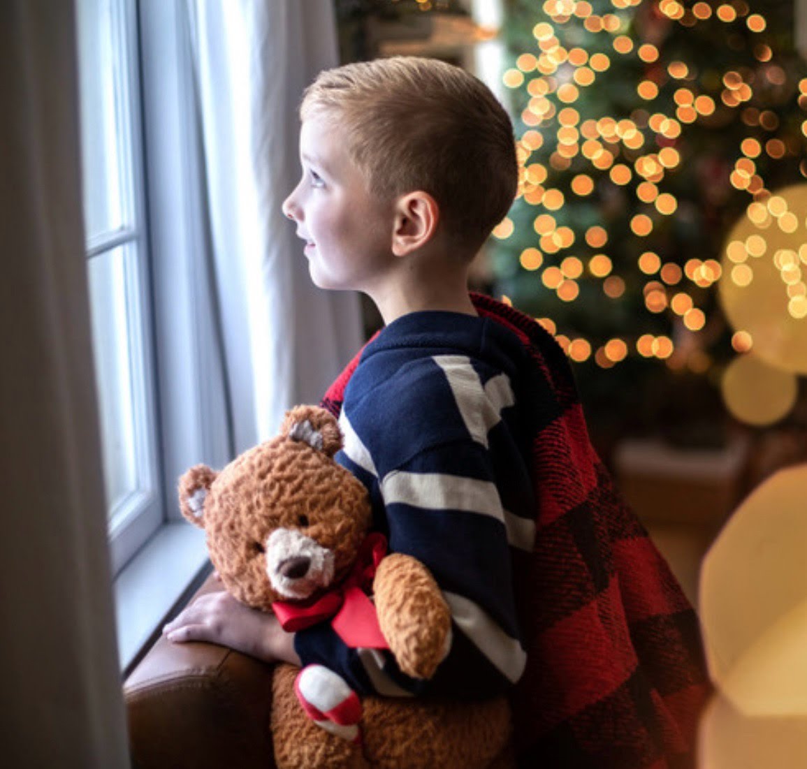 Theodore the Christmas Bear