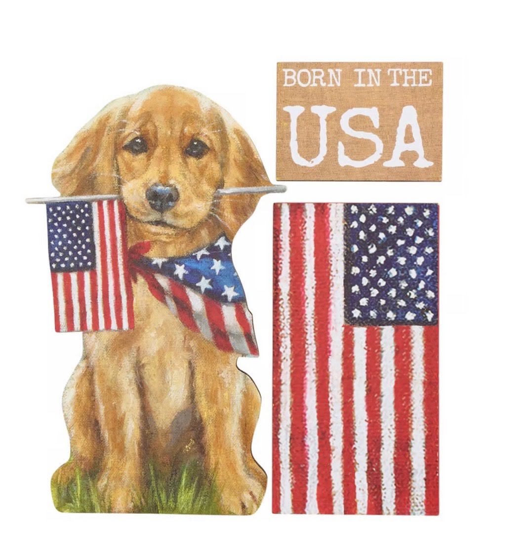 Born In The USA Golden Dog Magnet Set