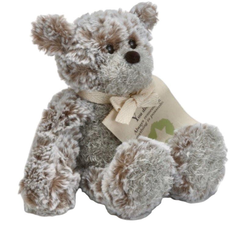 "You Did It!" Mini Giving Bear Stuffed Animal