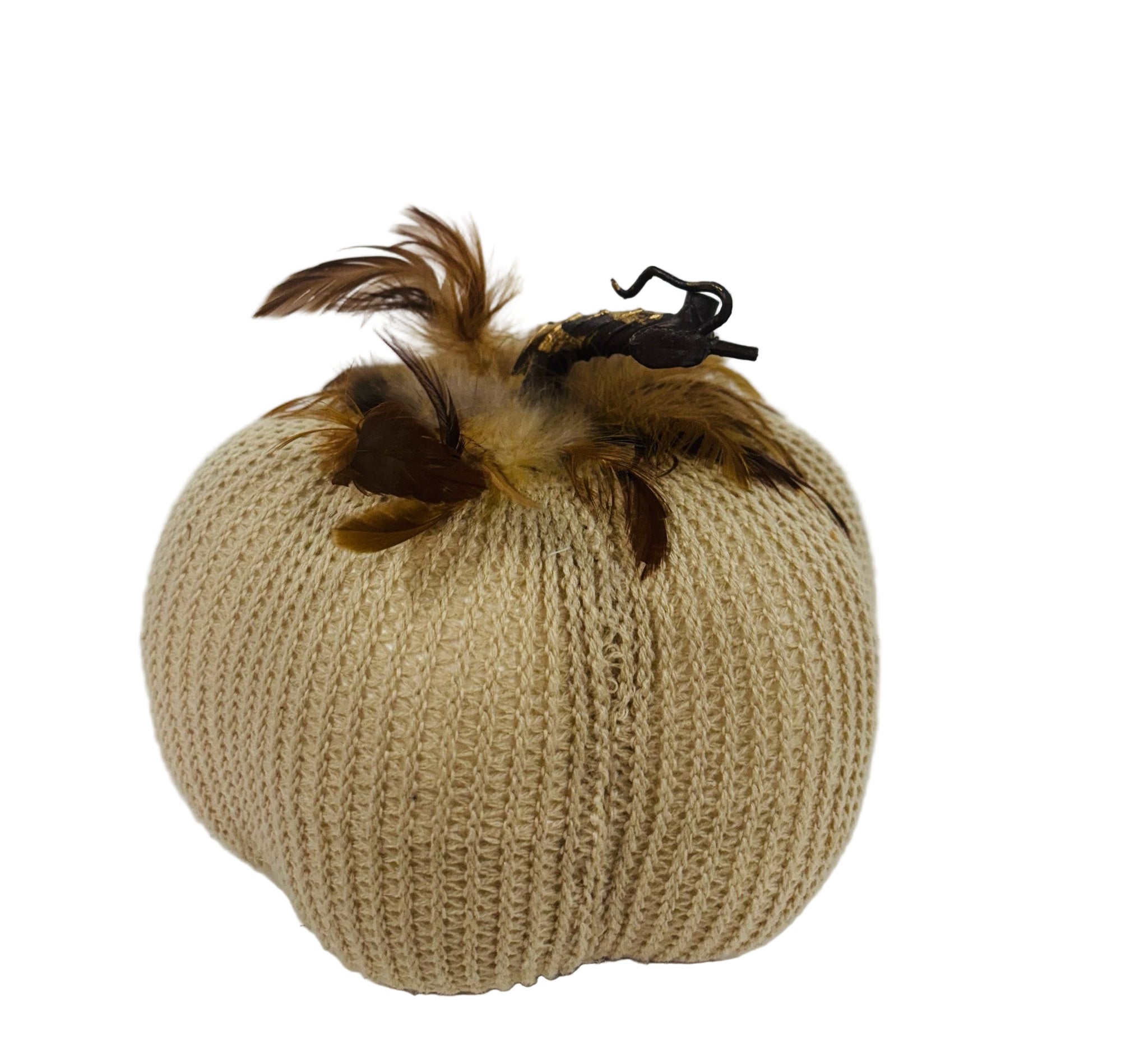 Sweater Pumpkin with Feather Accent