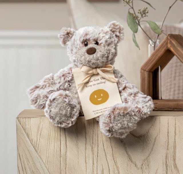 "You've Got This" Mini Giving Bear
