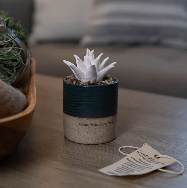 Succulent Aromatherapy Diffuser