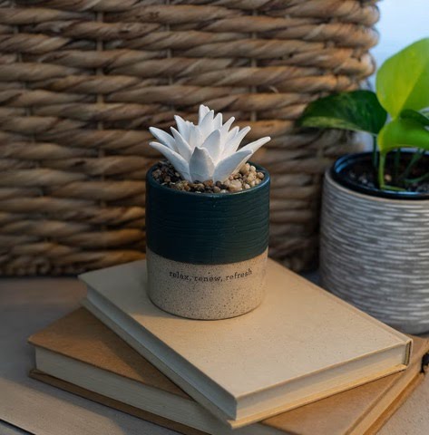 Succulent Aromatherapy Diffuser