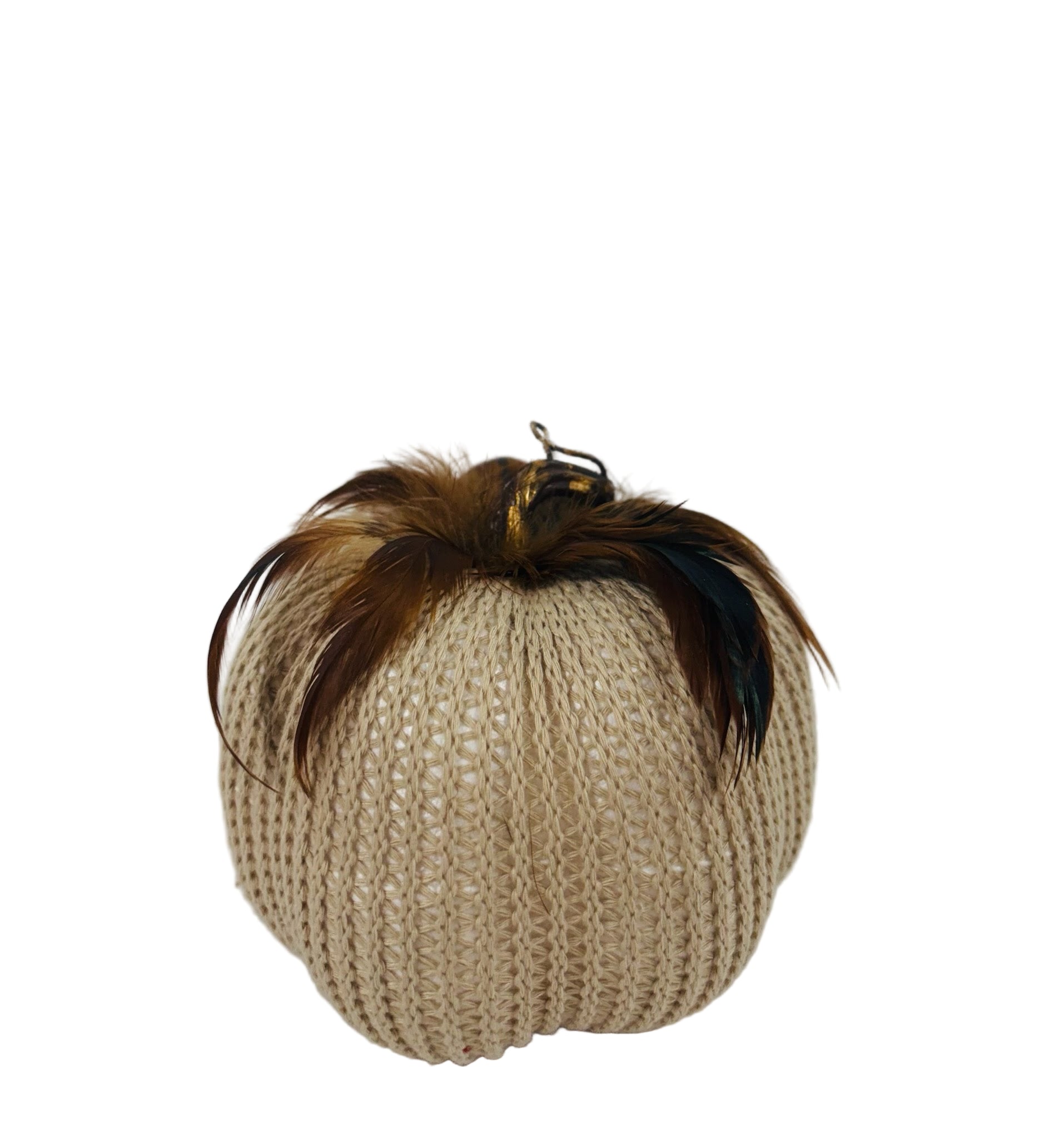 Sweater Pumpkin with Feather Accent