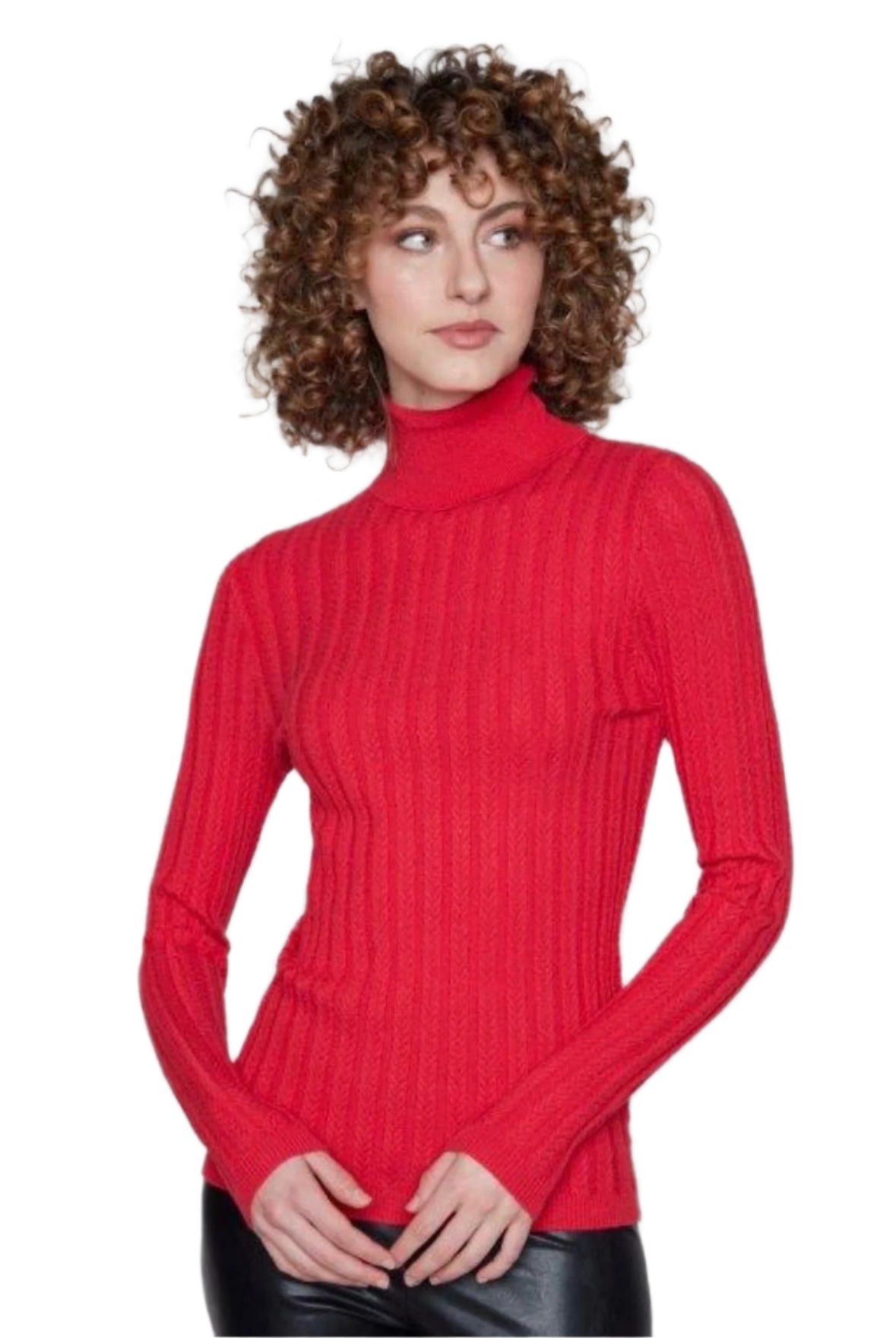 Carre Noir Top Eco Turtleneck 7506