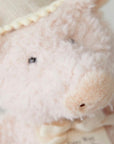 Birthday Pig Stuffed Animal
