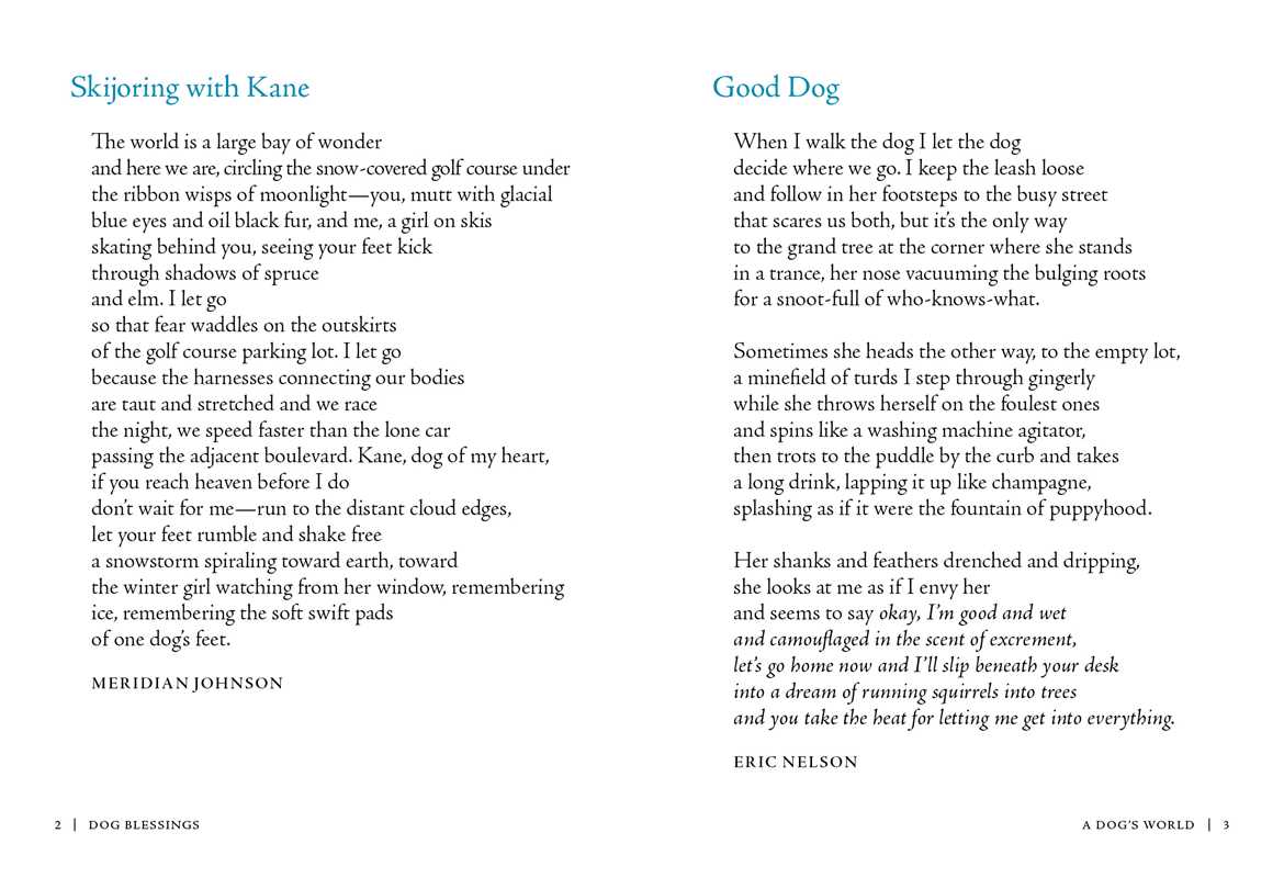 Dog Blessings