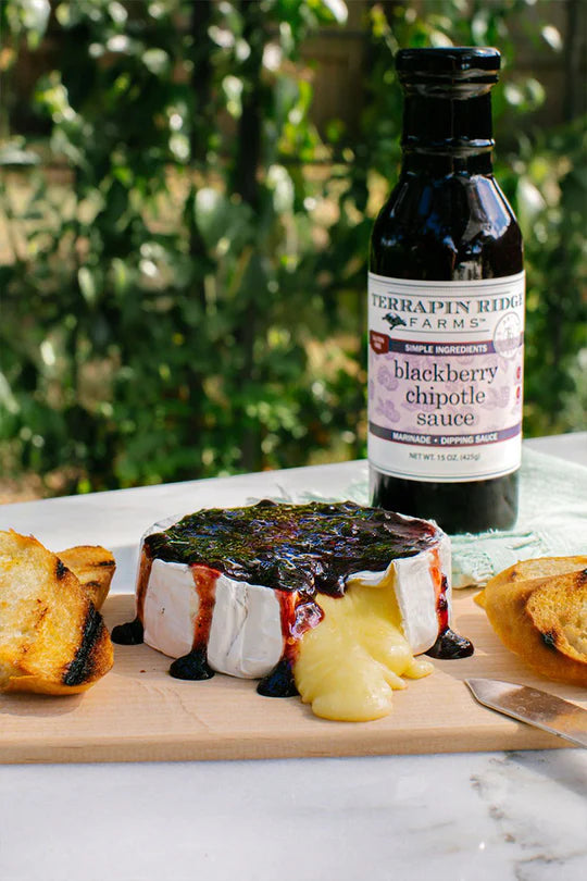Terrapin Ridge Farms Blackberry Chipolte Sauce