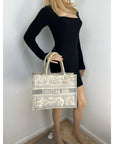 Dior Medium Book Tote Toile de Jouy Ecru and Gray Embroidery