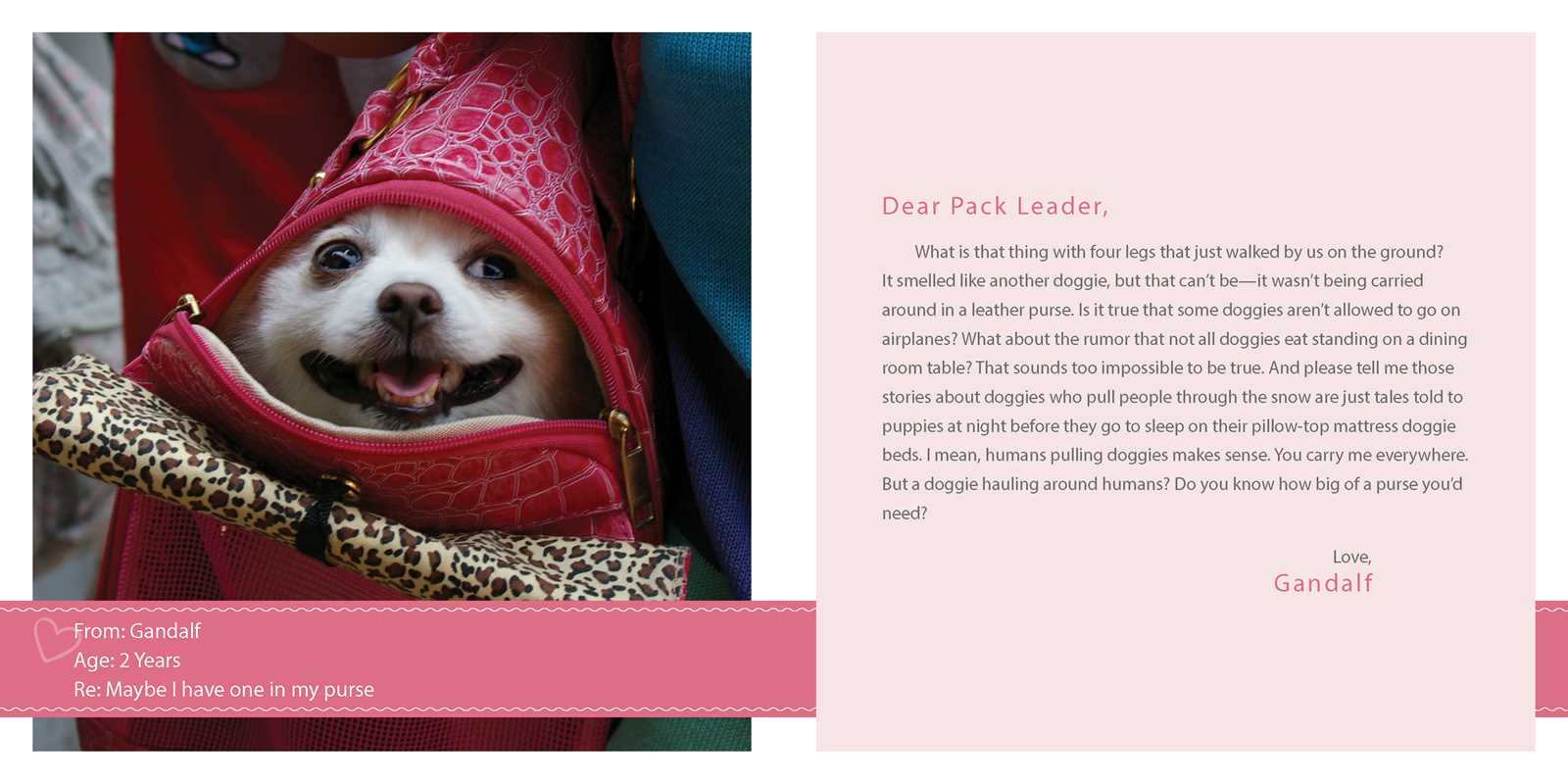 Sorry I Pooped in Your Shoe (and Other Heartwarming Letters from Doggie) by Jeremy  Greenberg