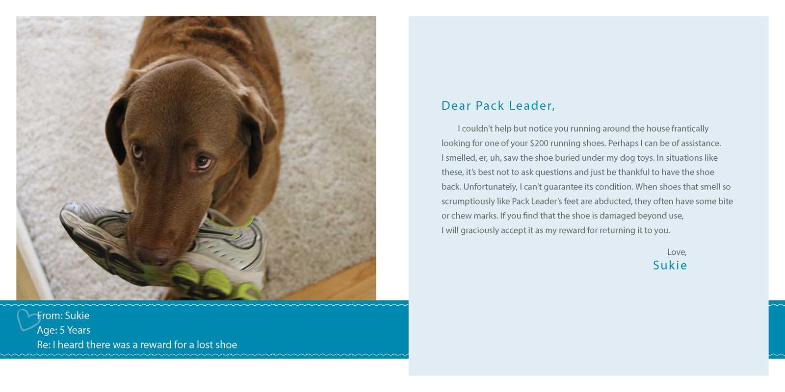 Sorry I Pooped in Your Shoe (and Other Heartwarming Letters from Doggie) by Jeremy  Greenberg