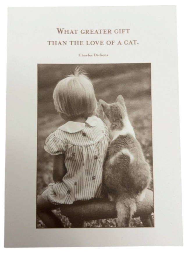 Blank Card (Cat)