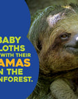 Hello Baby Sloth!