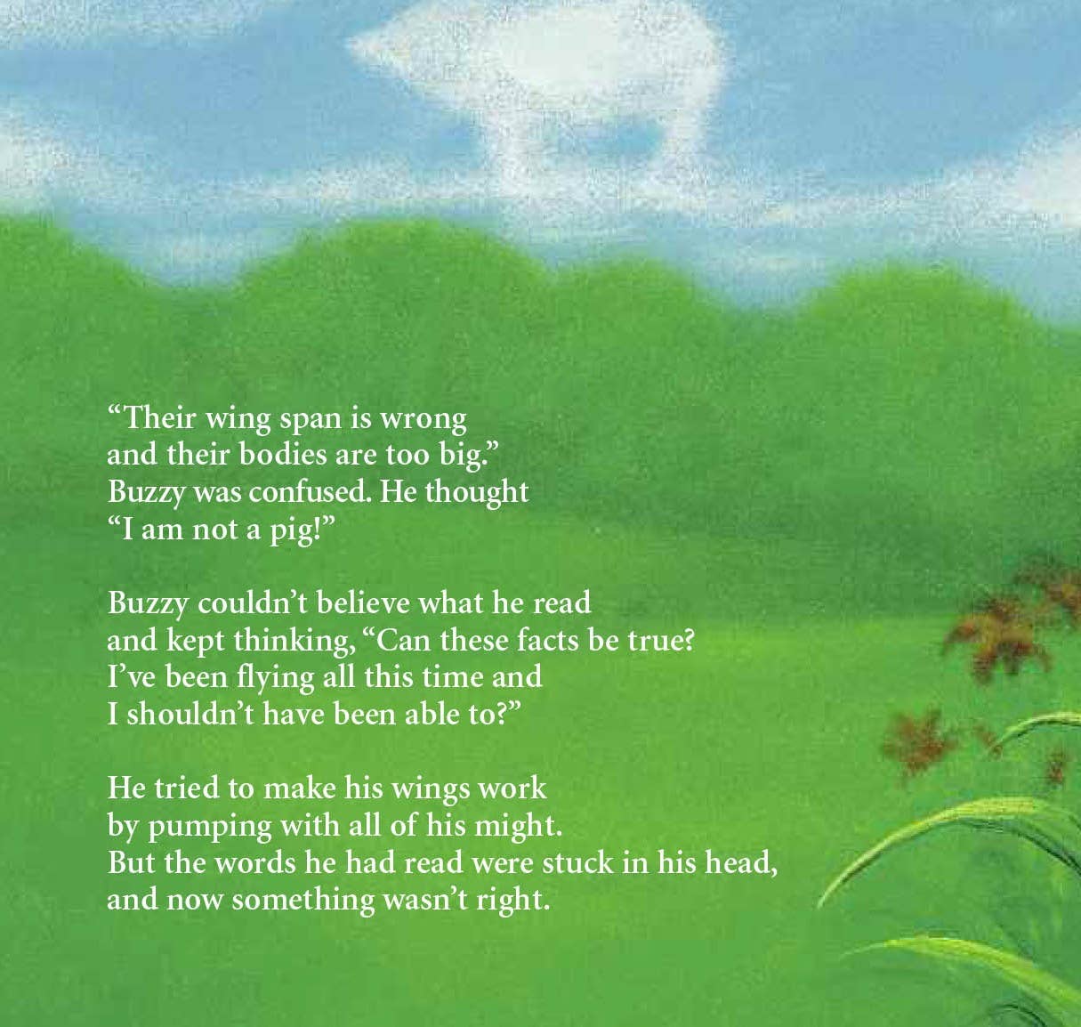 Buzzy the bumblebee picture book