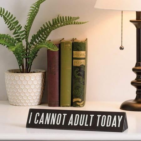 Hold On...Overthinking It/I Cannot Adult Today Desk Plate