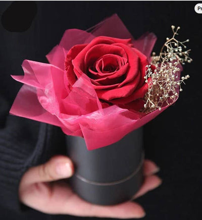 Single Stem Rose Forever Flowers Gift Box