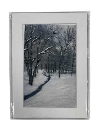 Trish McFerran Art Print P229