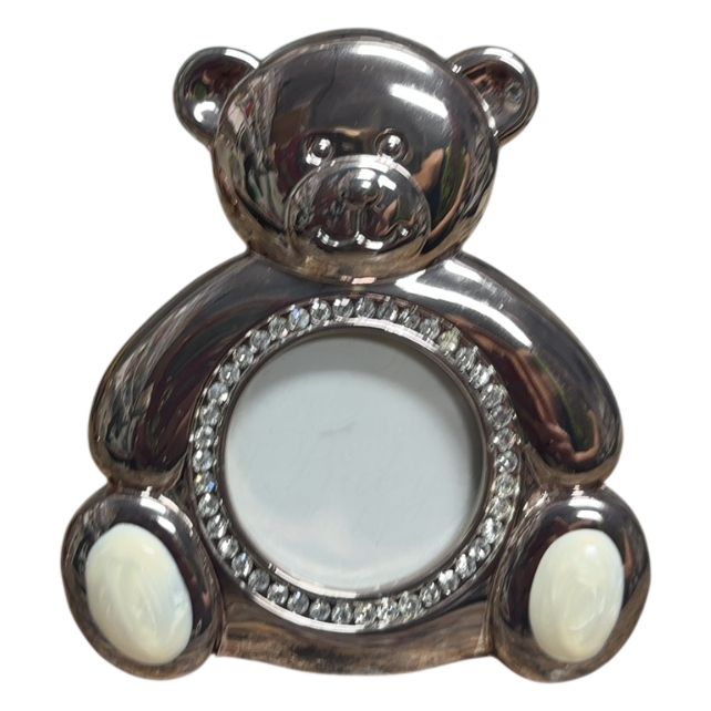 Teddy Bear Picture Frame