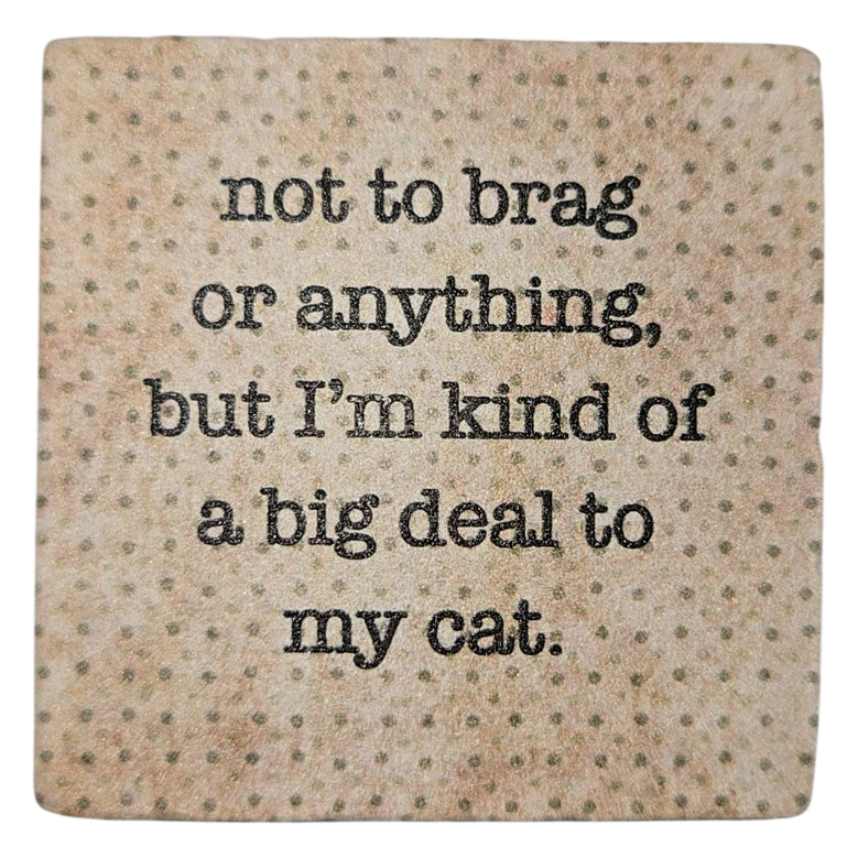 "Big Deal to My Cat" Funny Quote Ceramic Magnet