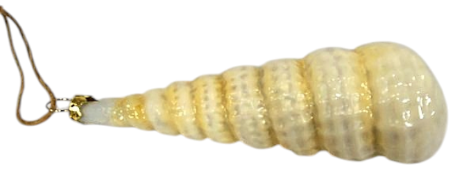 Iridescent Spiral Seashell Ornament