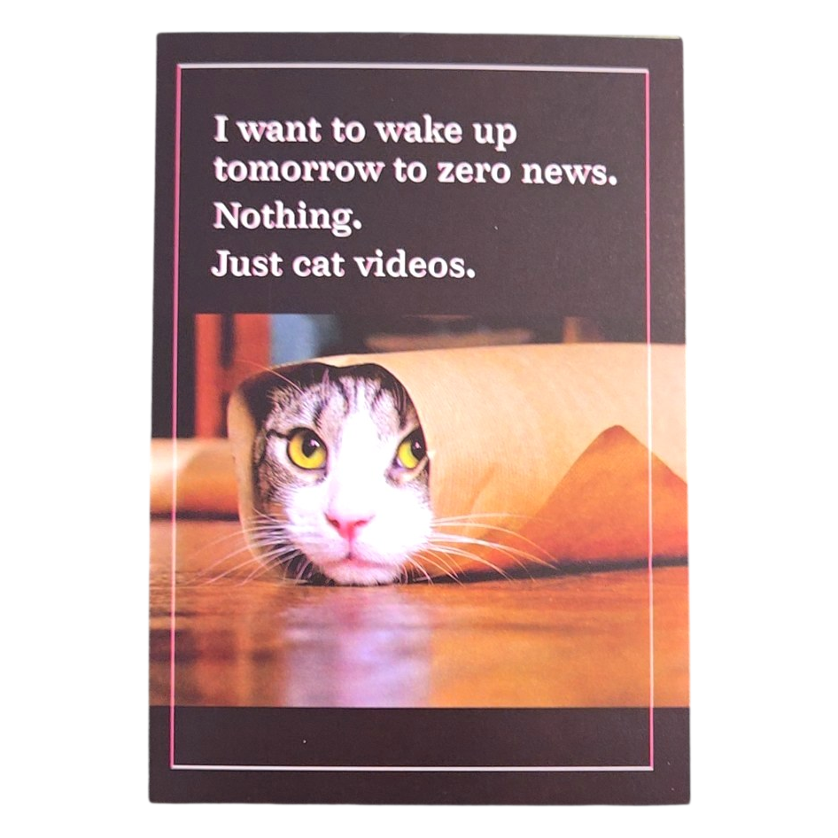 Just Cat Videos Funny Greeting Card