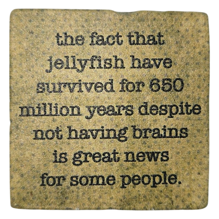 Jellyfish Jellyfish Brains Funny Quote Ceramic Magnet