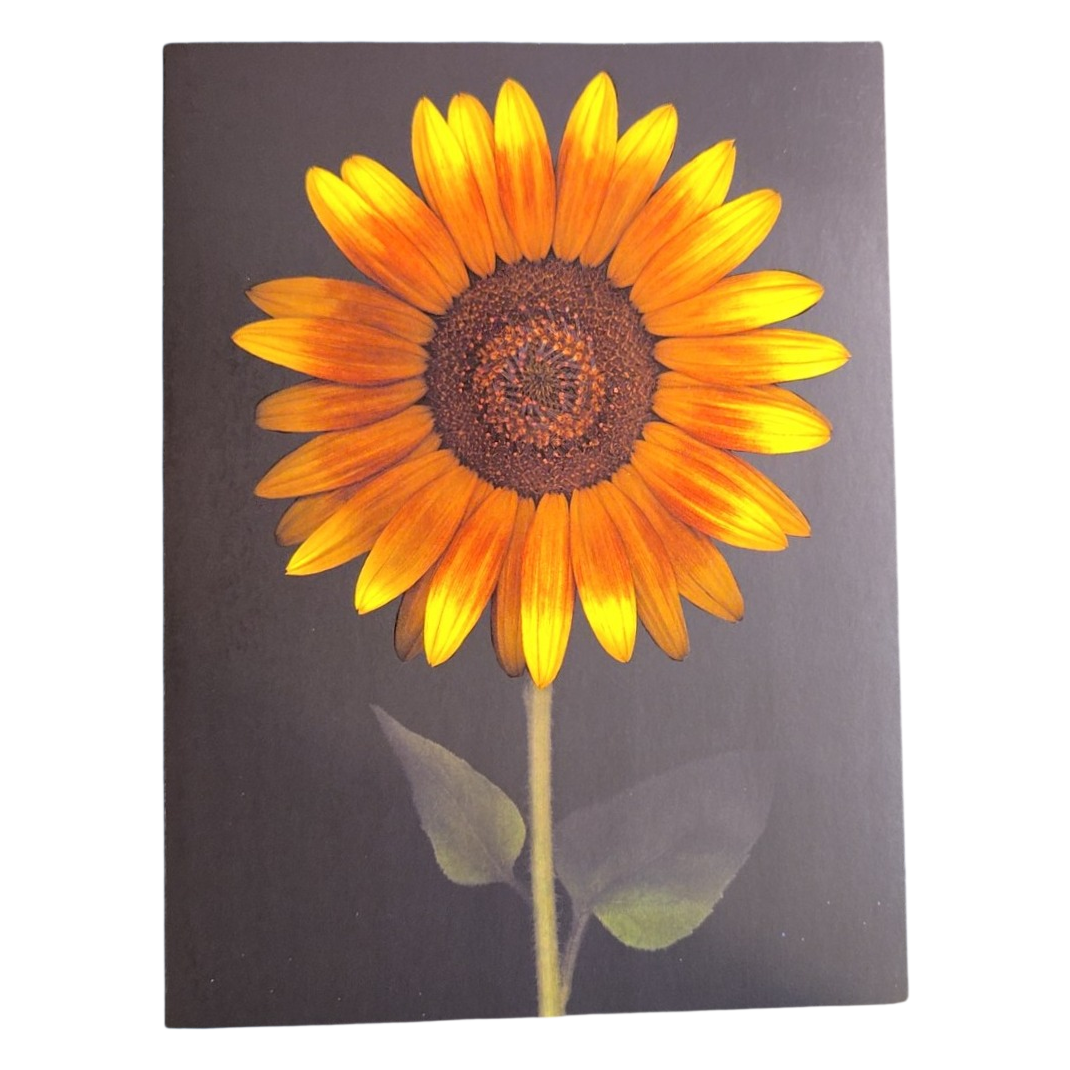 Sunflower Greeting Card Dark Background
