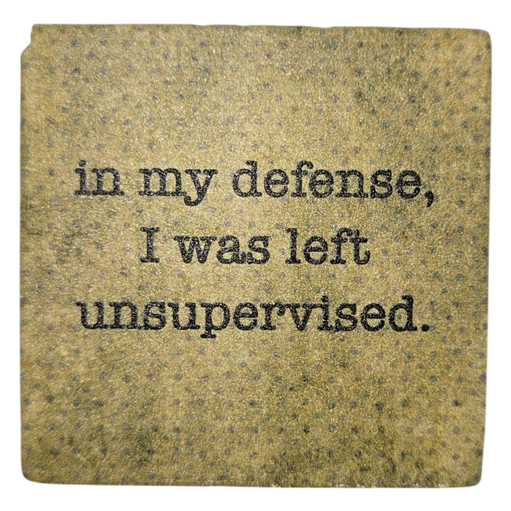 "In My Defense, I Was Left Unsupervised" Funny Stone Magnet
