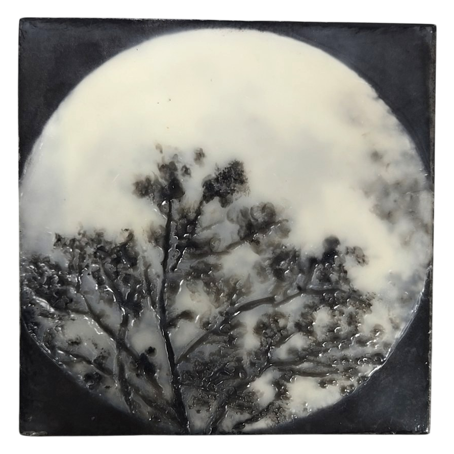 Encaustic Moon &amp; Tree Artwork by Trish McFerran