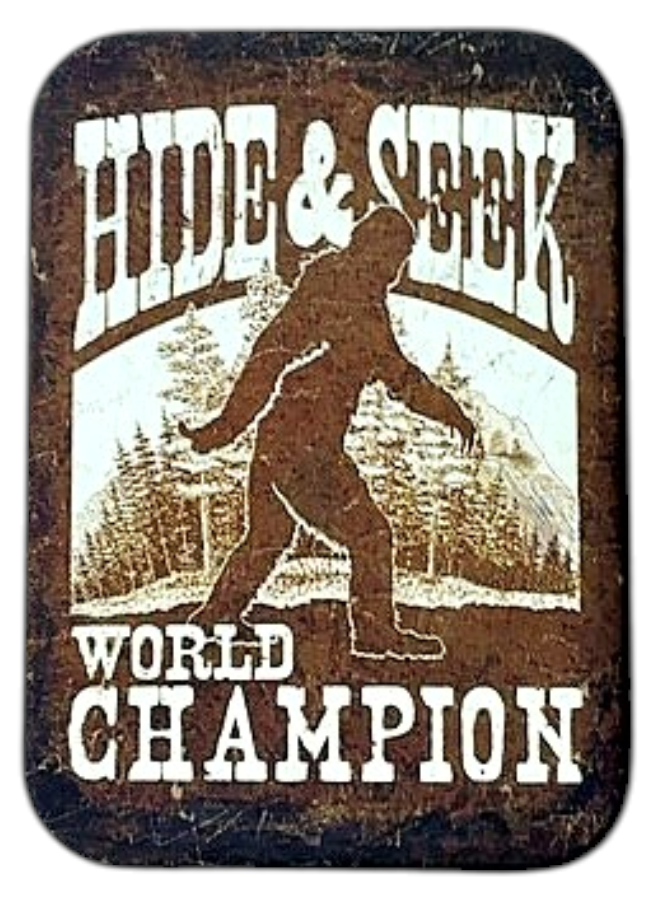 Hide &amp; Seek World Champion Bigfoot Magnet
