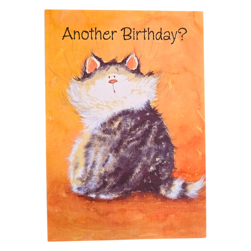 Another Birthday Funny Cat Greeting Card