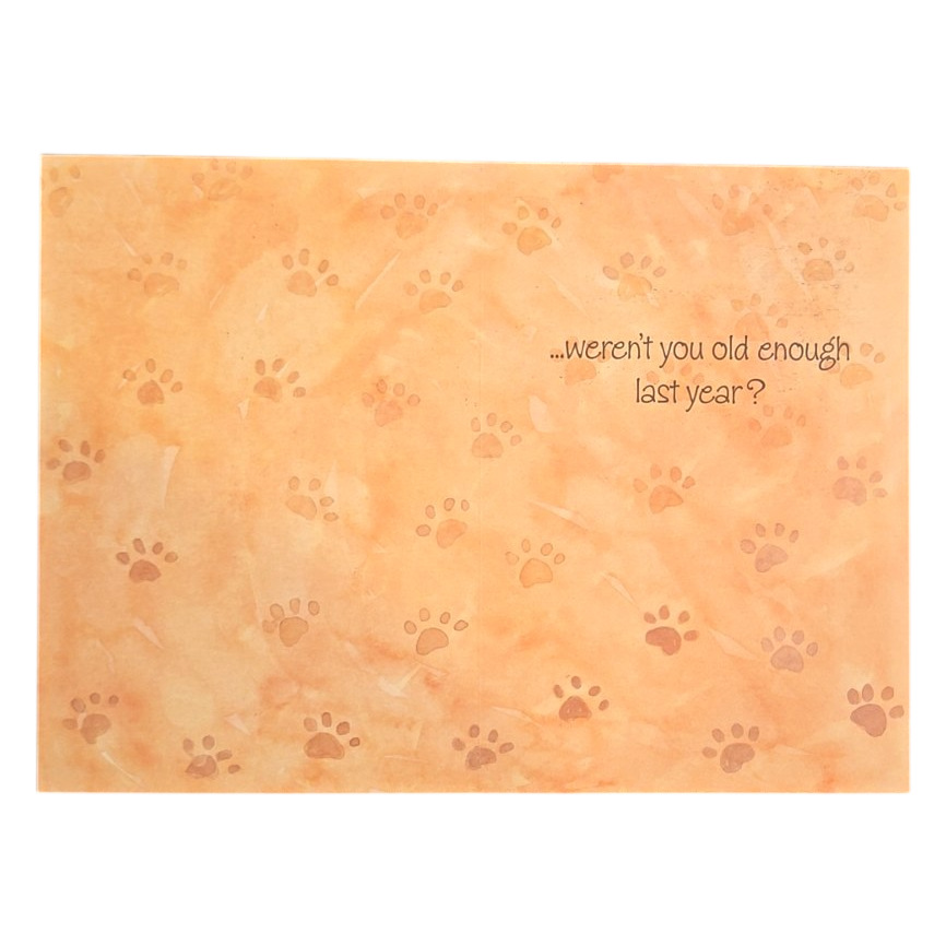 Another Birthday Funny Cat Greeting Card