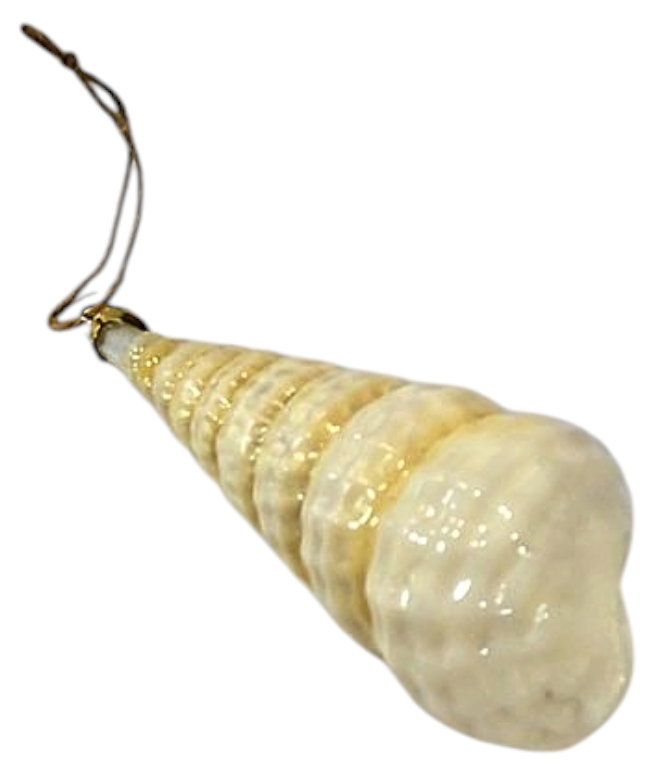 Iridescent Spiral Seashell Ornament